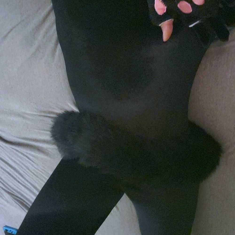 Eepy Kitty ⬡-#4022