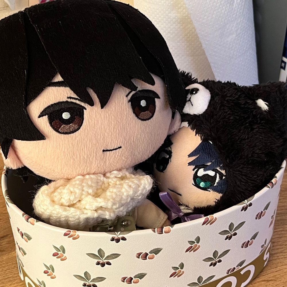 生ドス