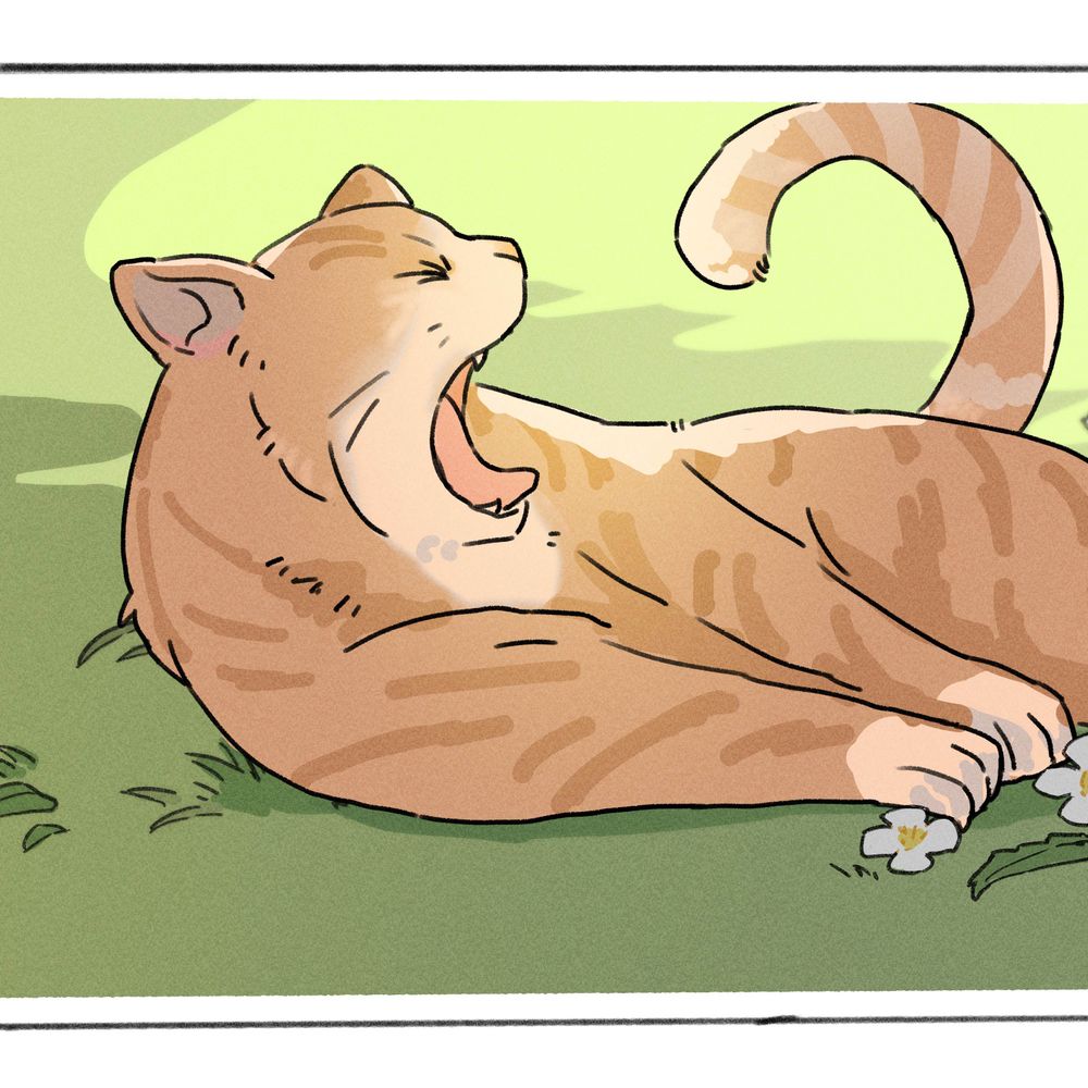 猫も杓子も