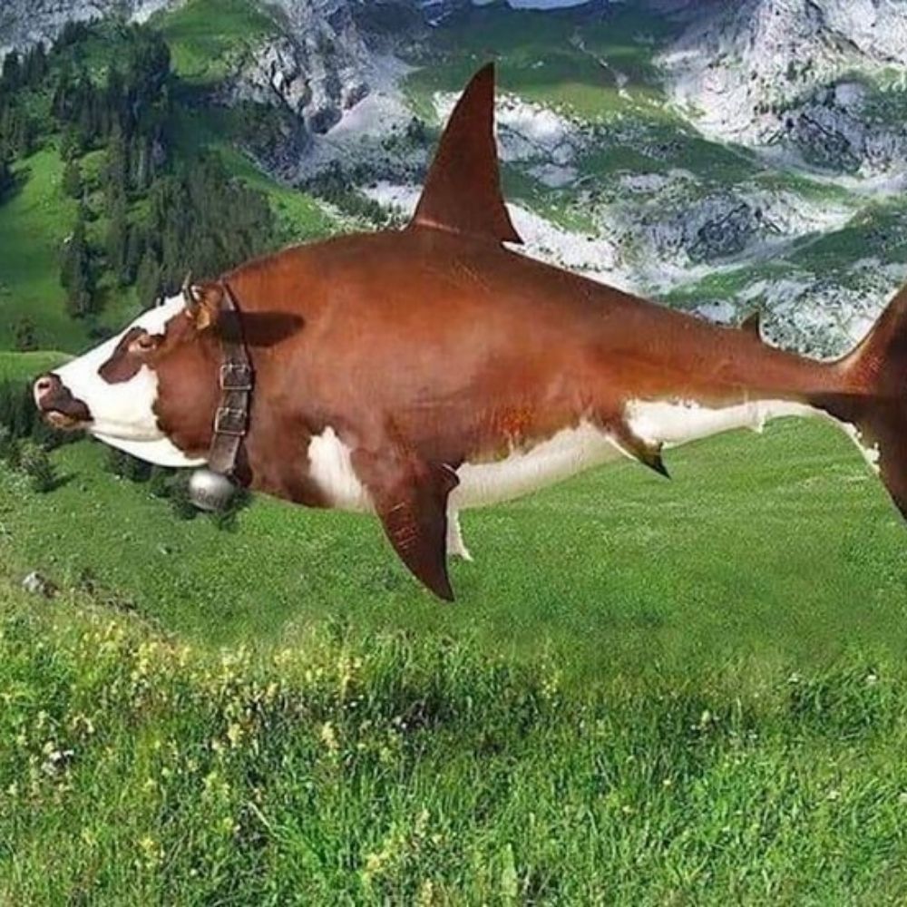 RadyoaktifTurşu