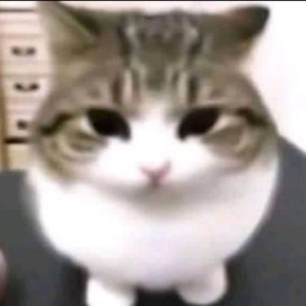 𝐋𝐚𝐮 ★