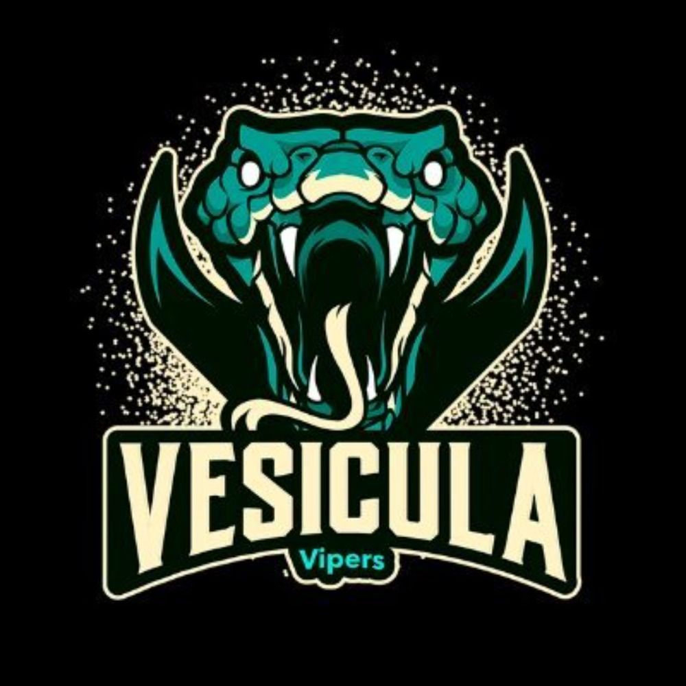 Vesícula Vipers
