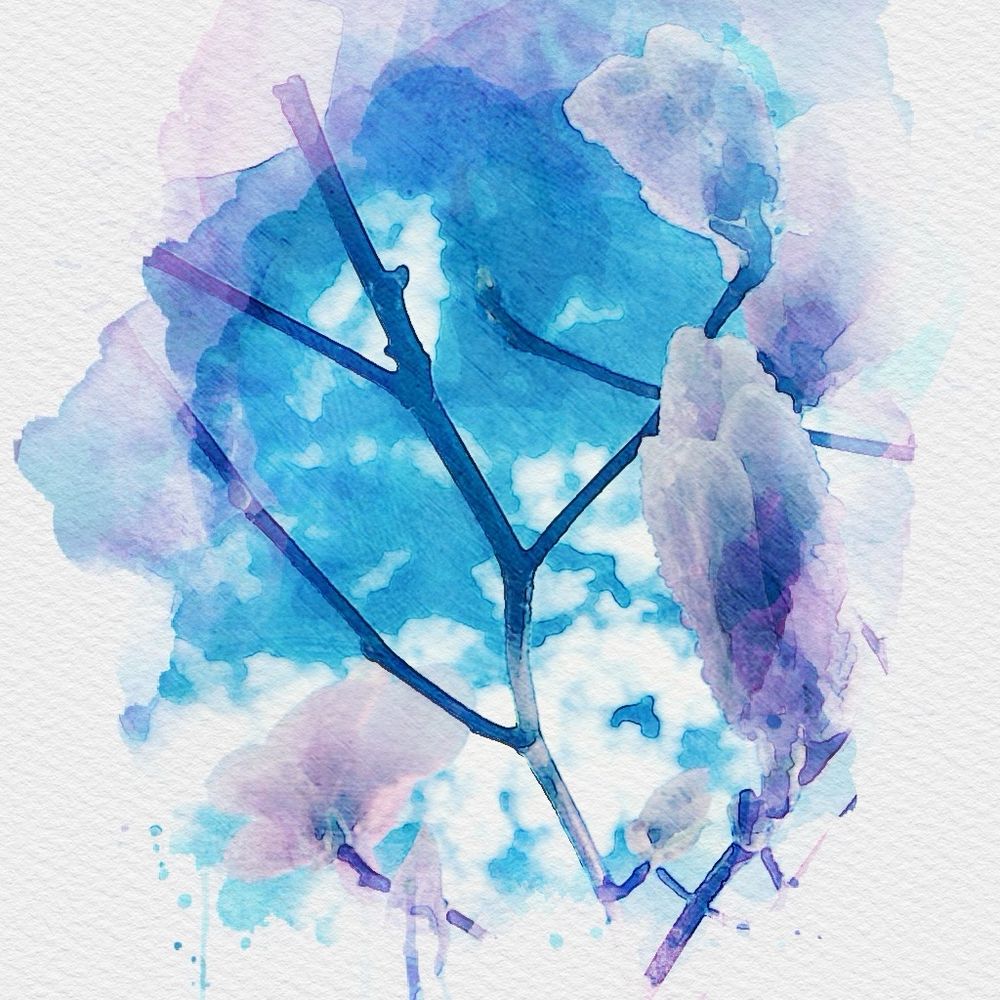 花音
