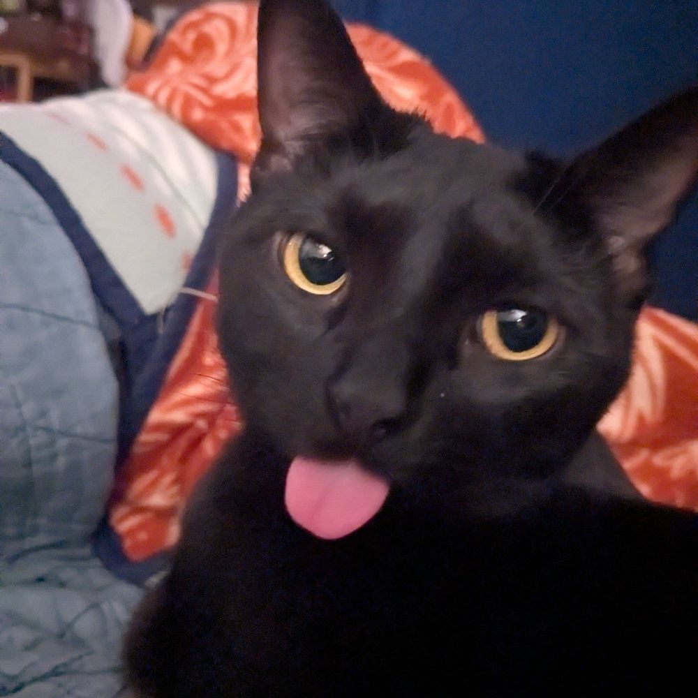 thesavagefredricka.bsky.social