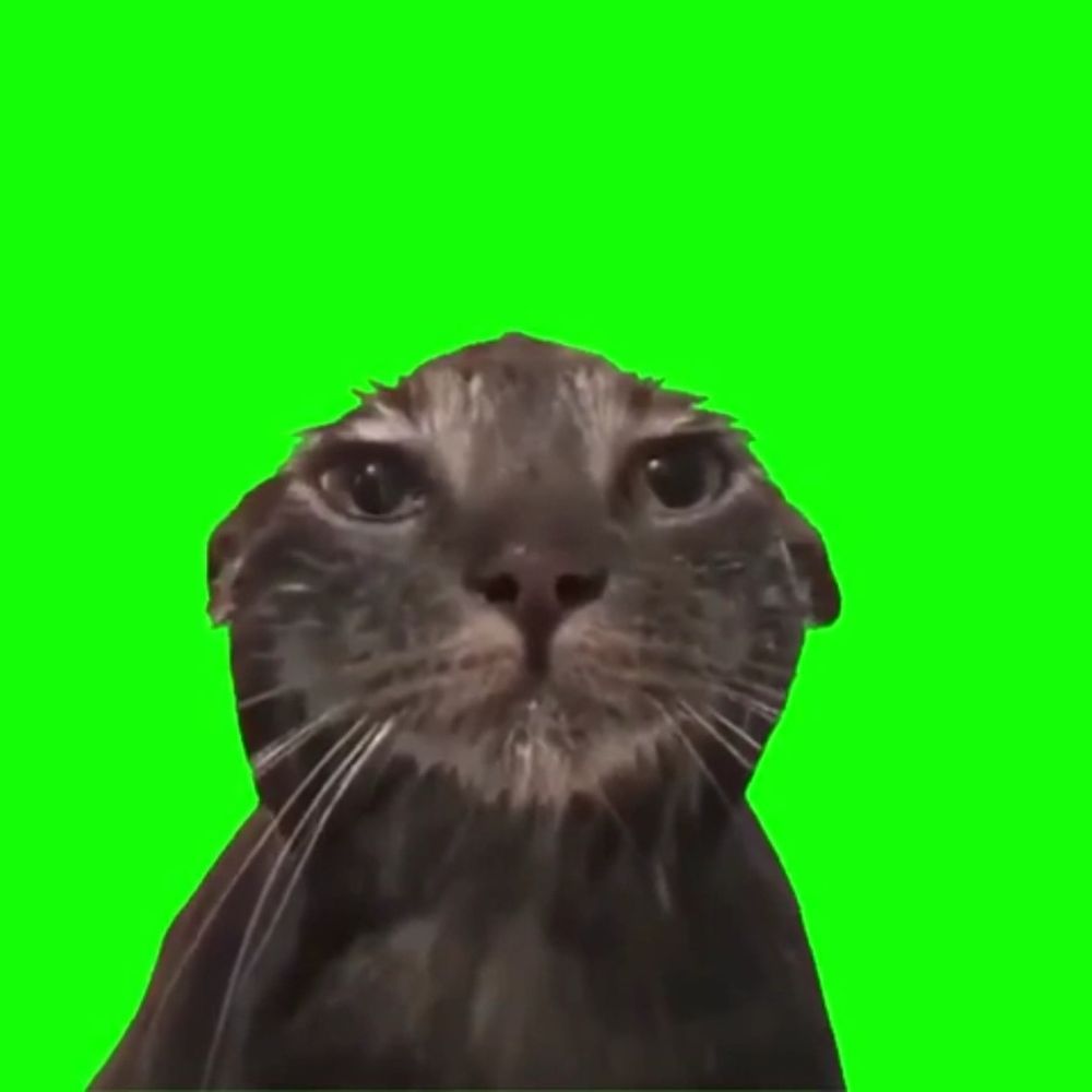 わたがし