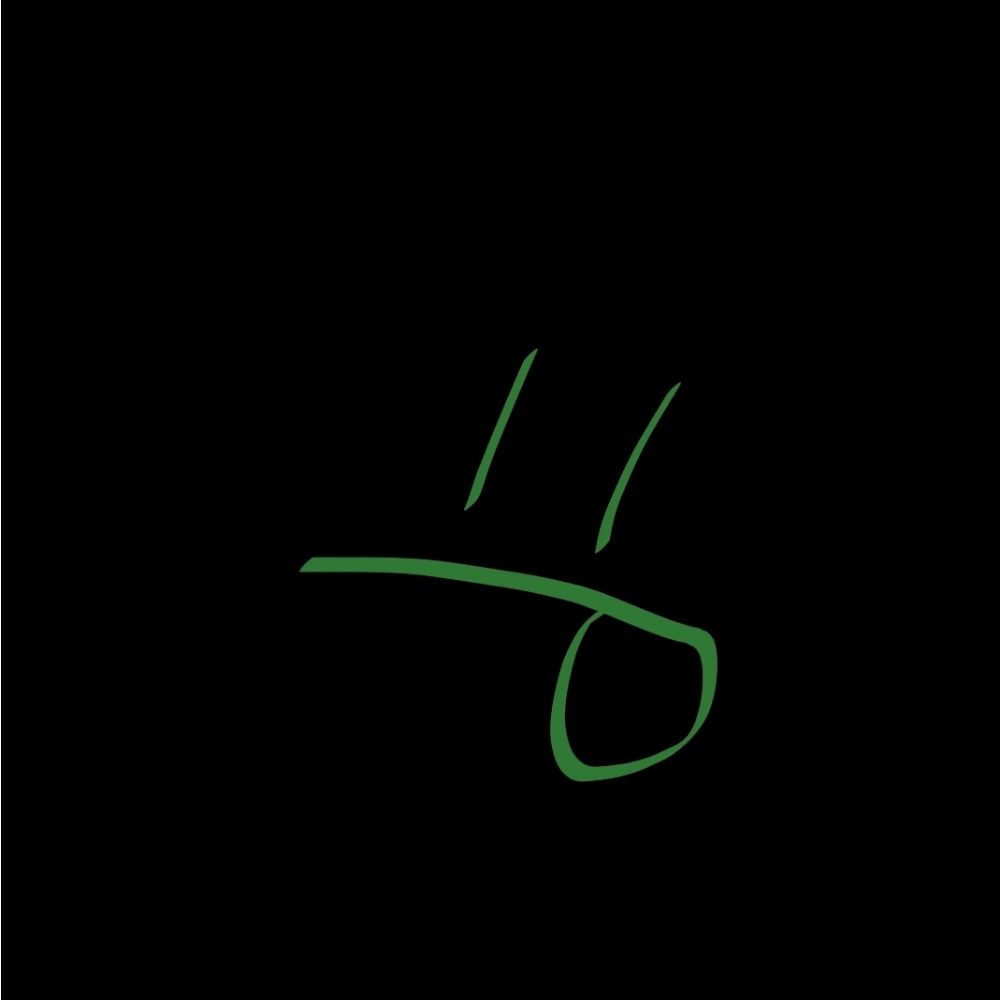 fern_.