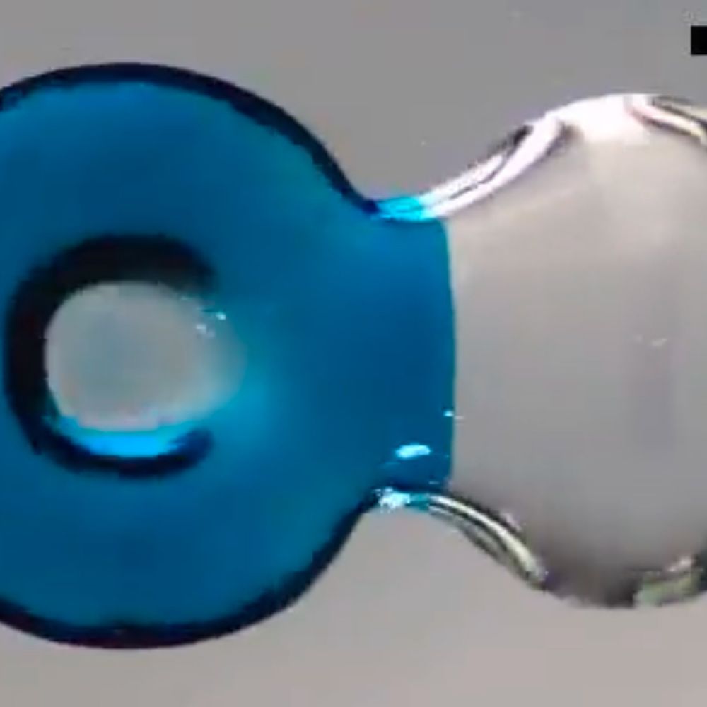 Oxford Fluid Dynamics Lab