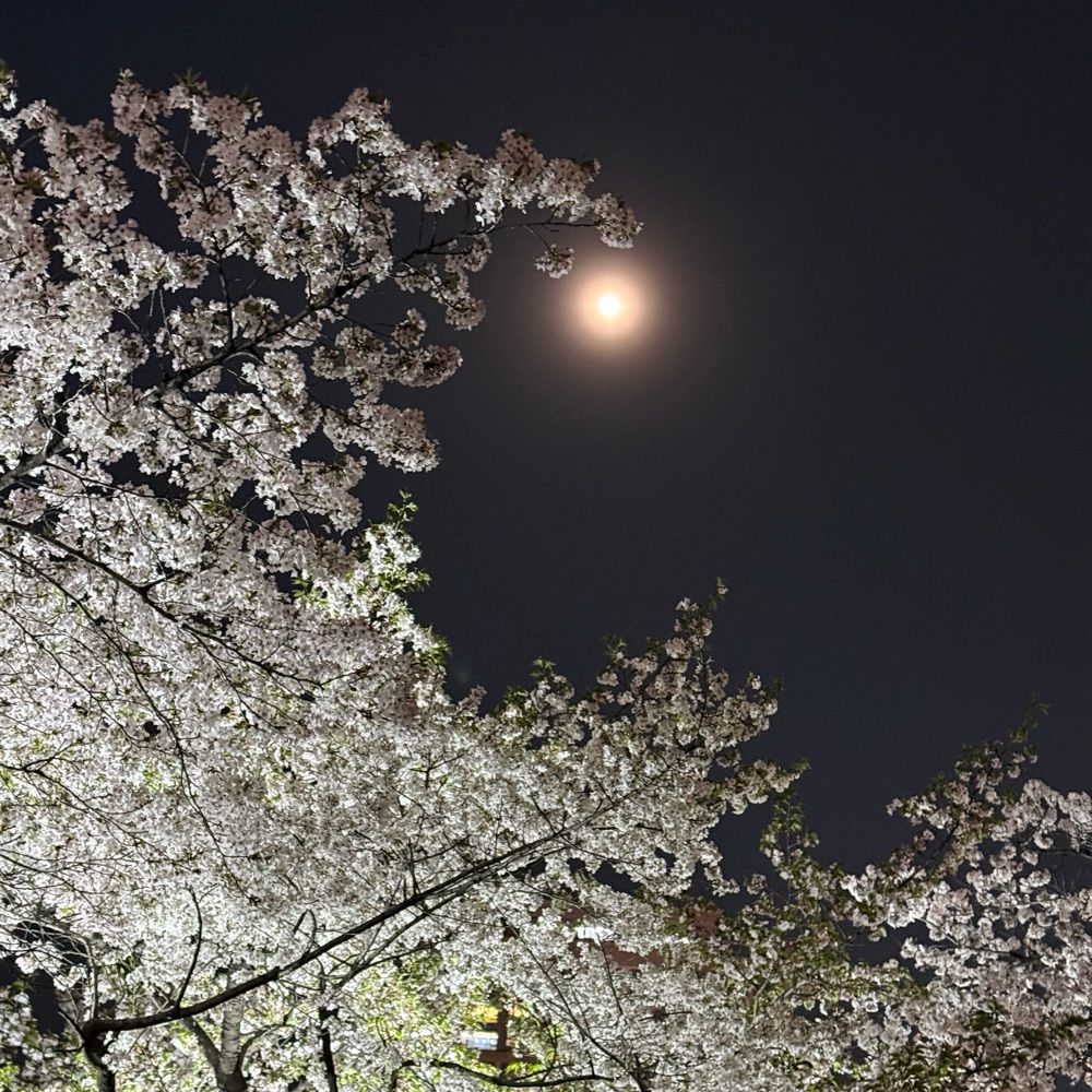 수리