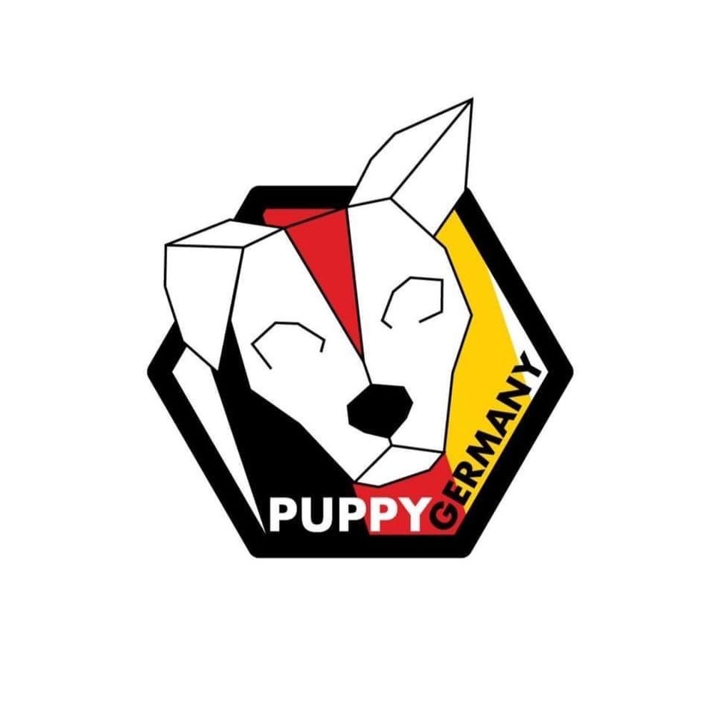 Puppy Germany