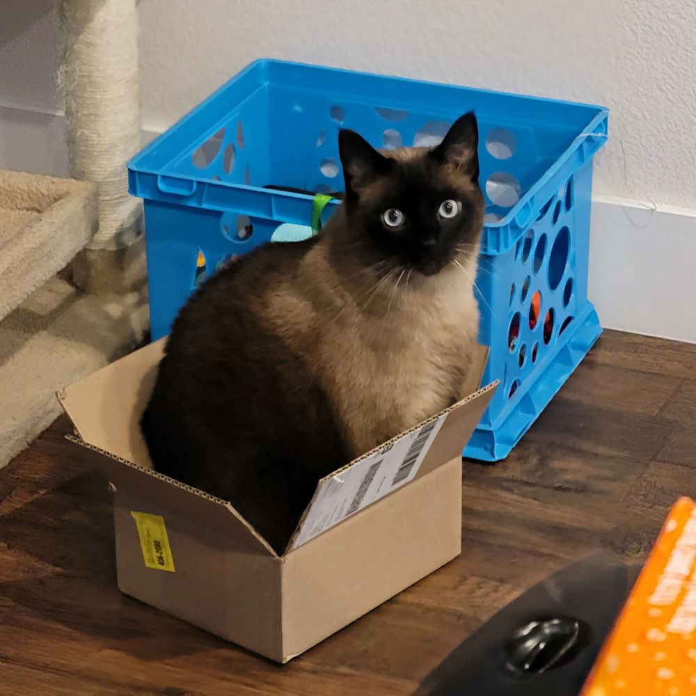 Lost chonker