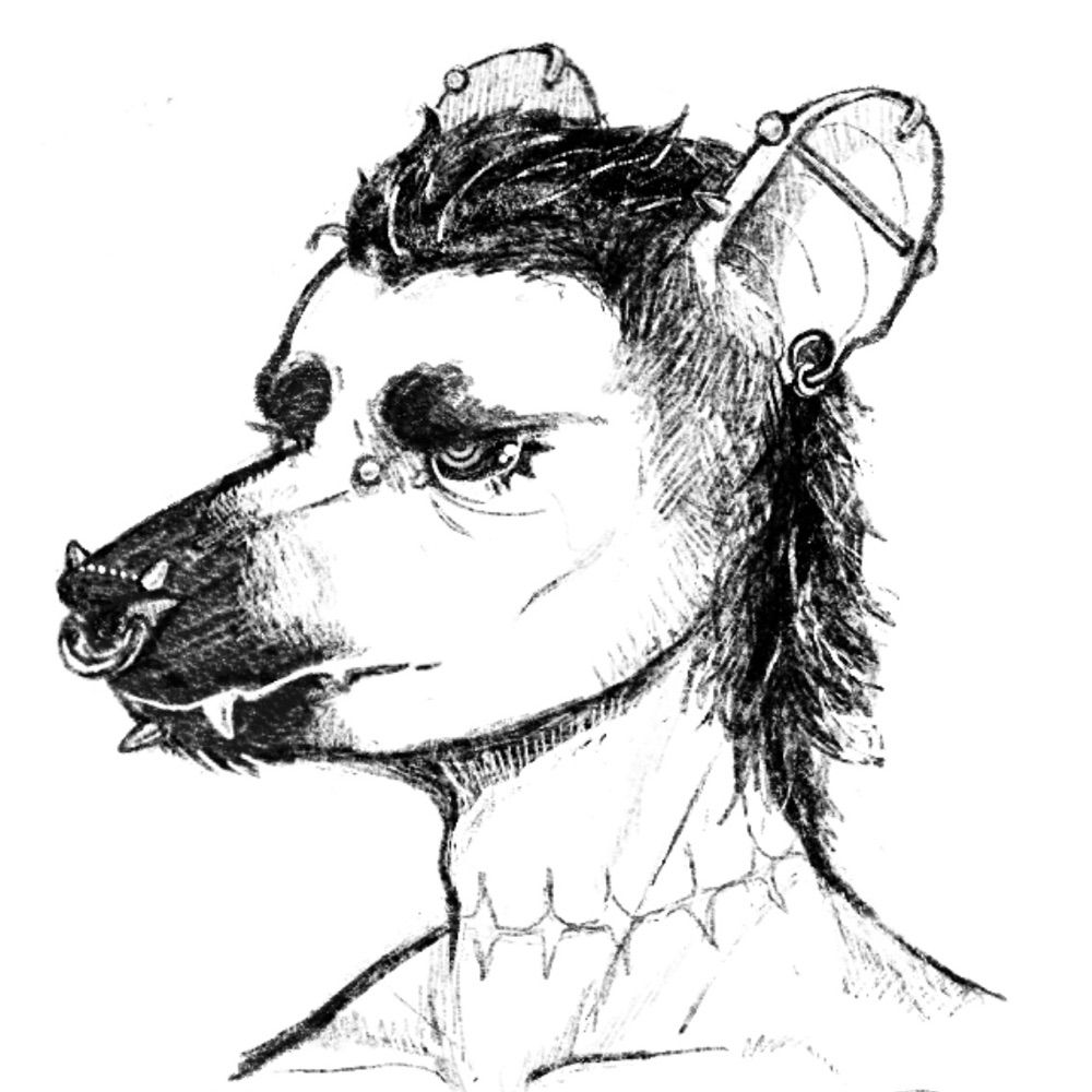 quentin