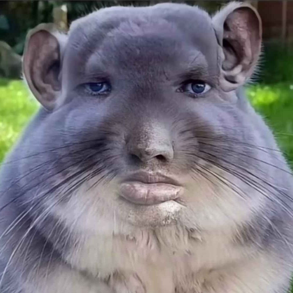 Nomaxy