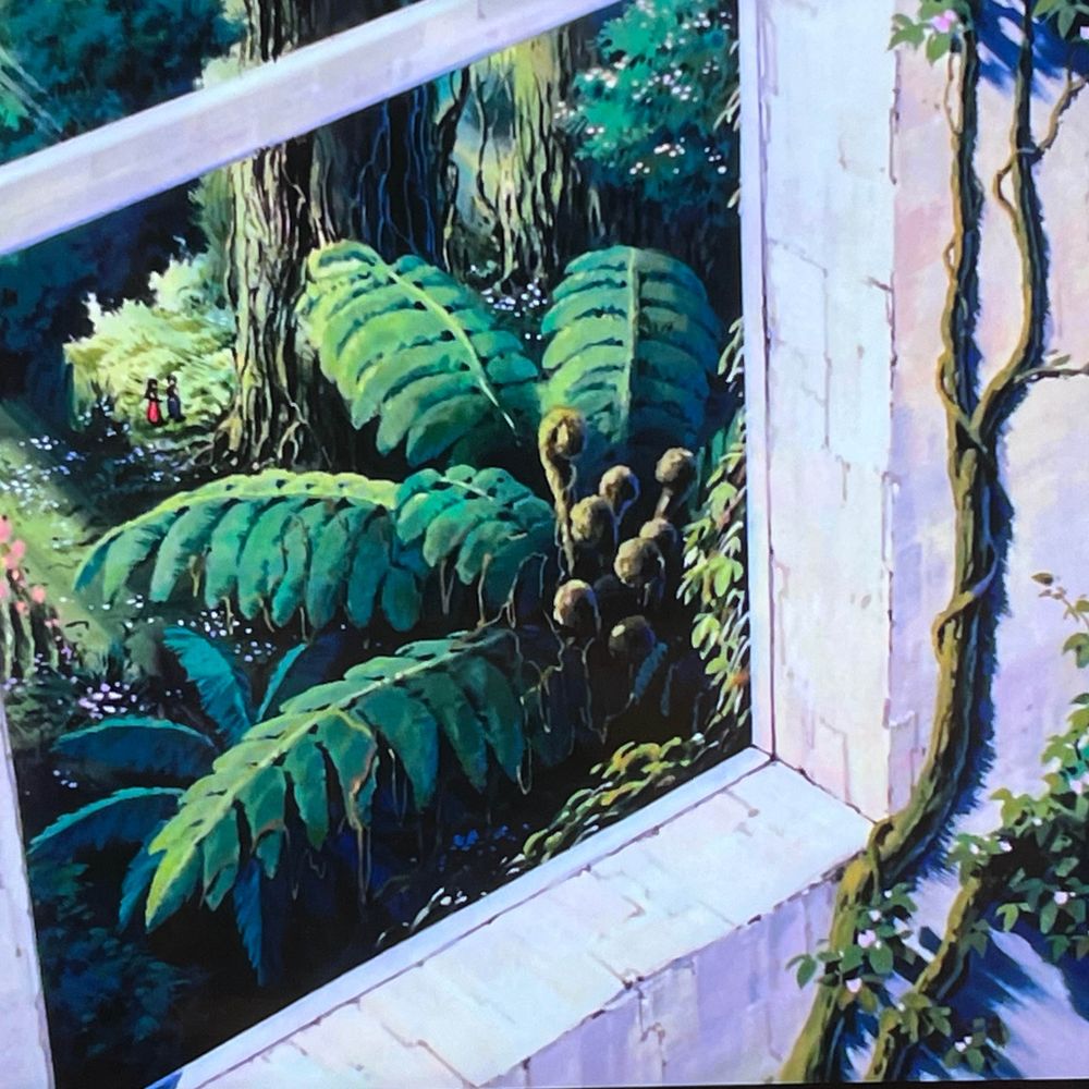 皿