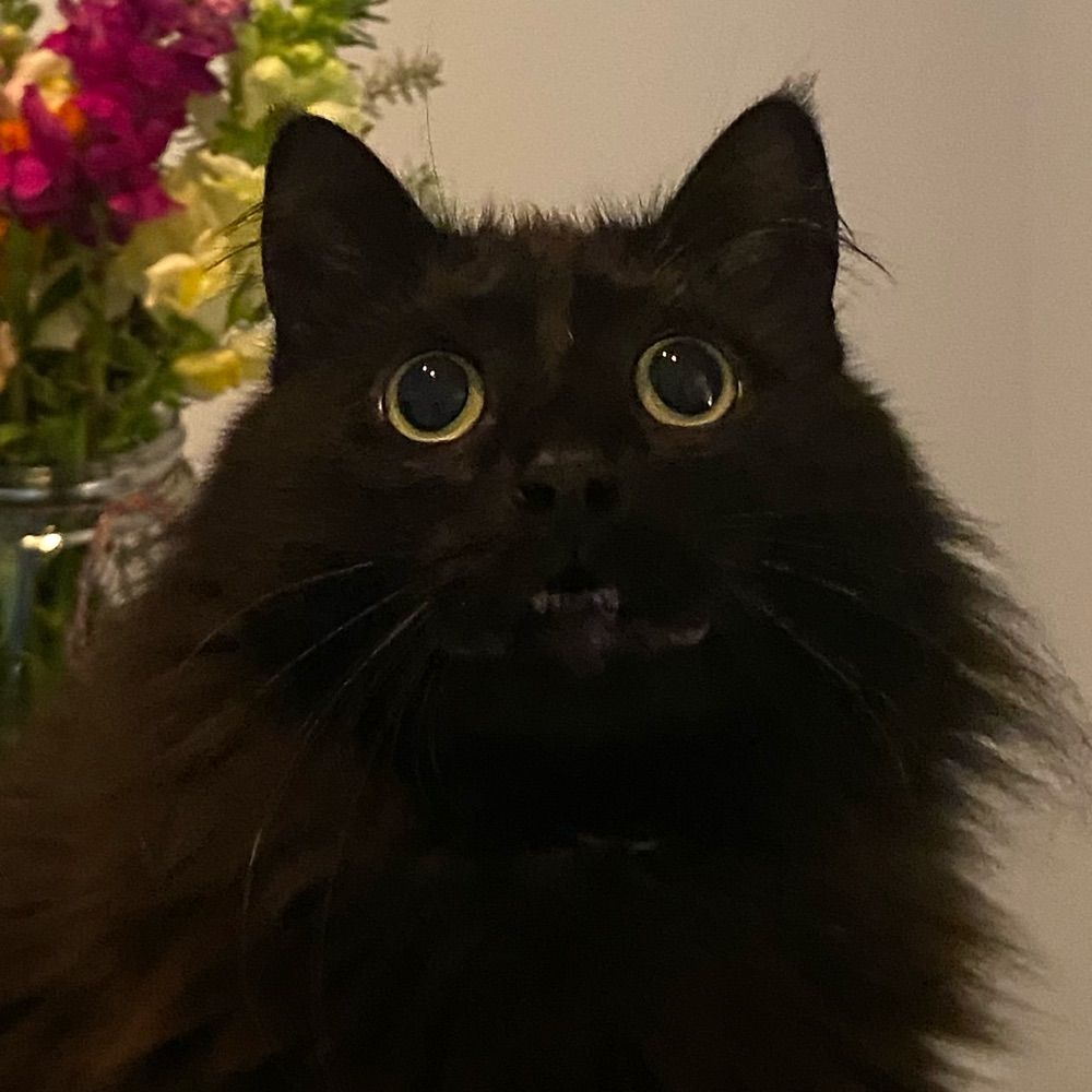 carla 