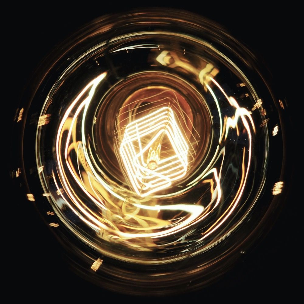 aureus