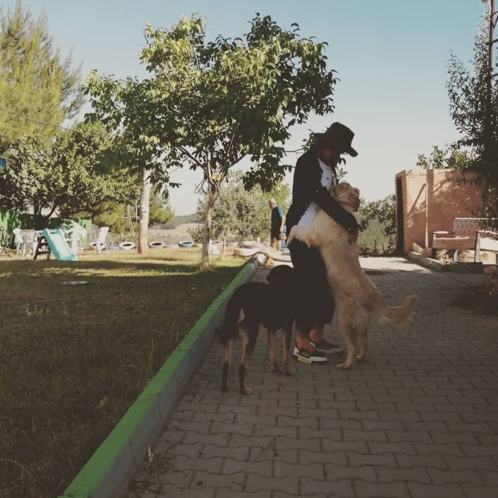 Sevilay