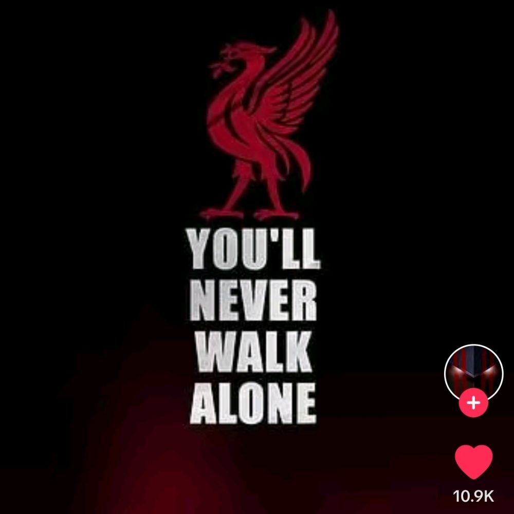 you'll never walk alone