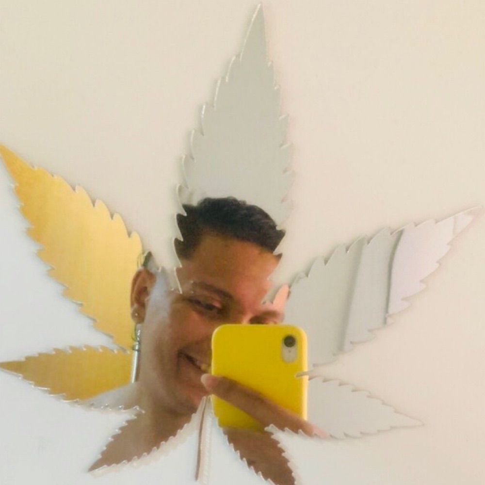 não é o pedru 🐝