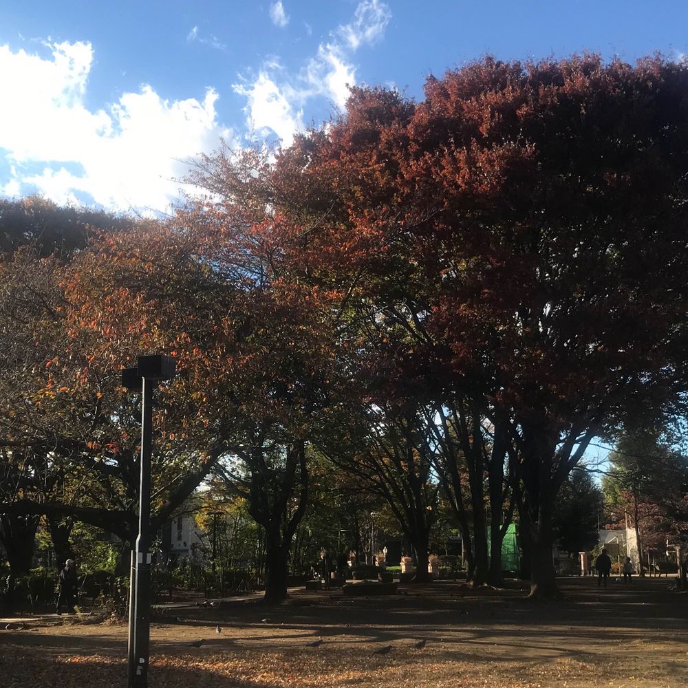 無精髭にしては多い
