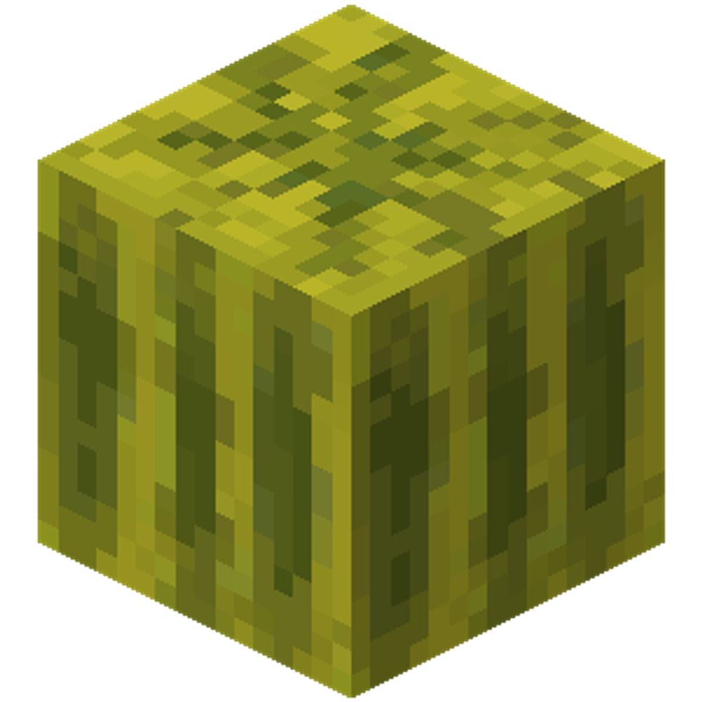 melon without the water