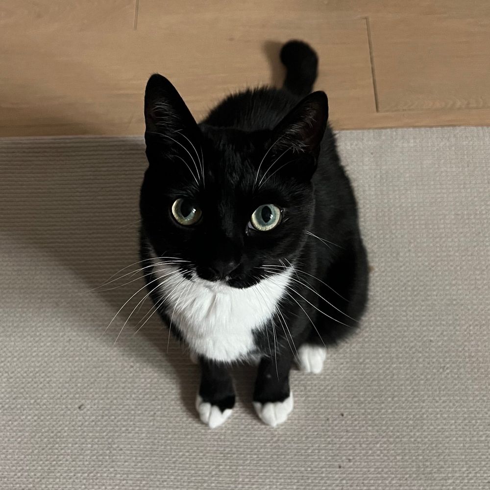 올리Olly