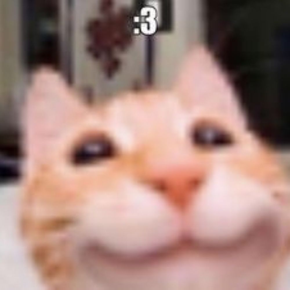 Eusoufoda