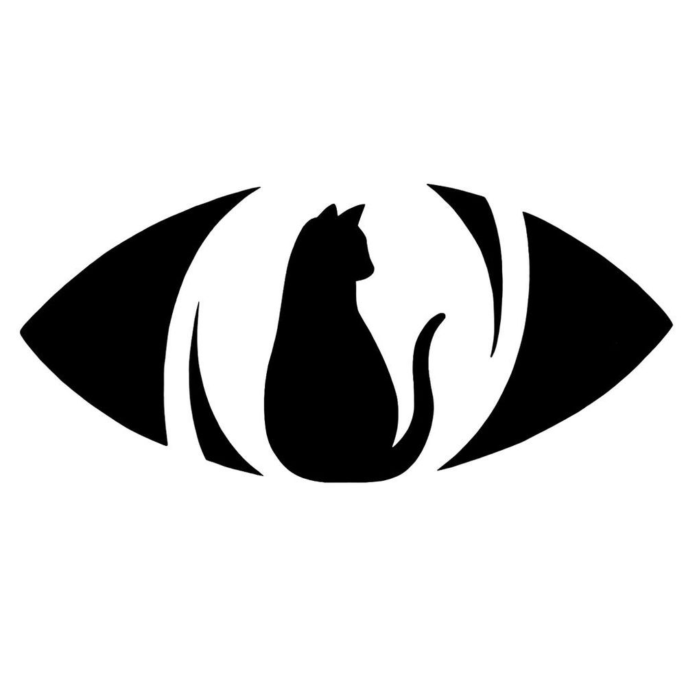 The Curious Cat 