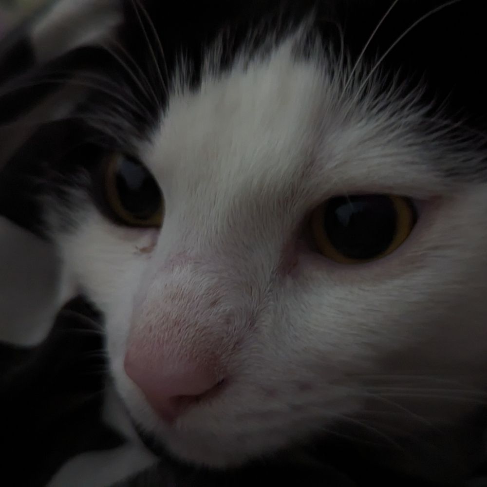 Kira