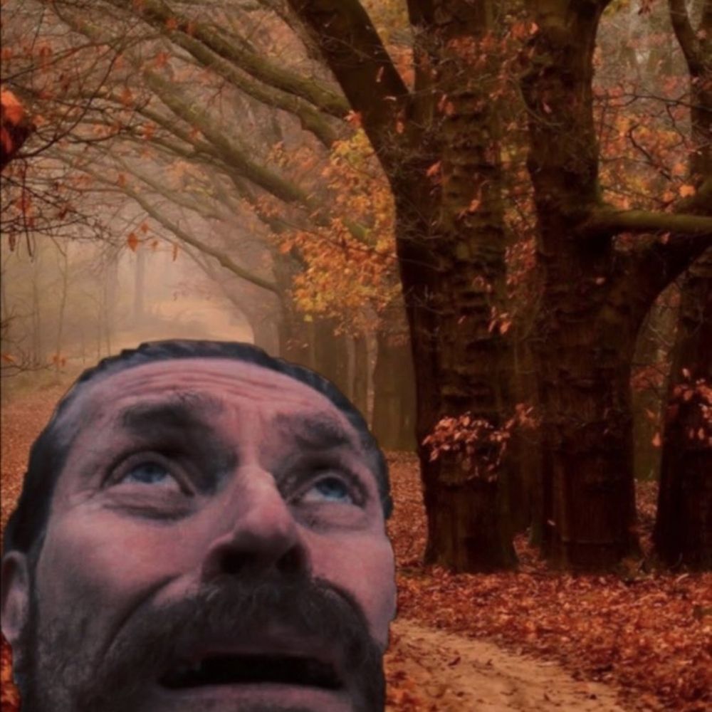 gingerbreads.bsky.social