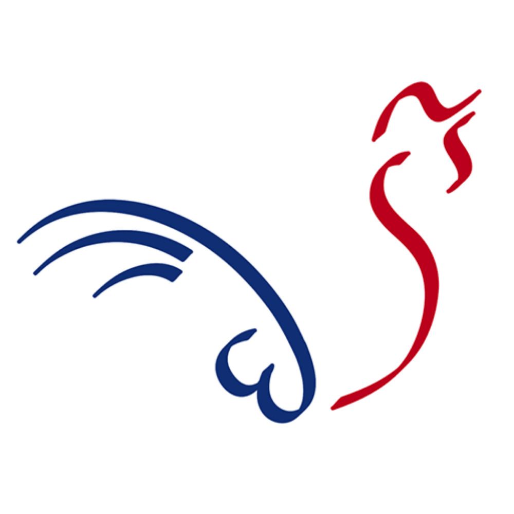 Brave Patrie