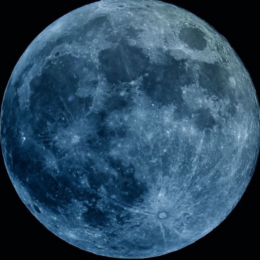 Cosmos