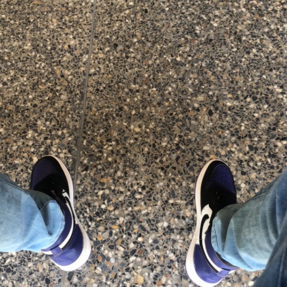 🐍