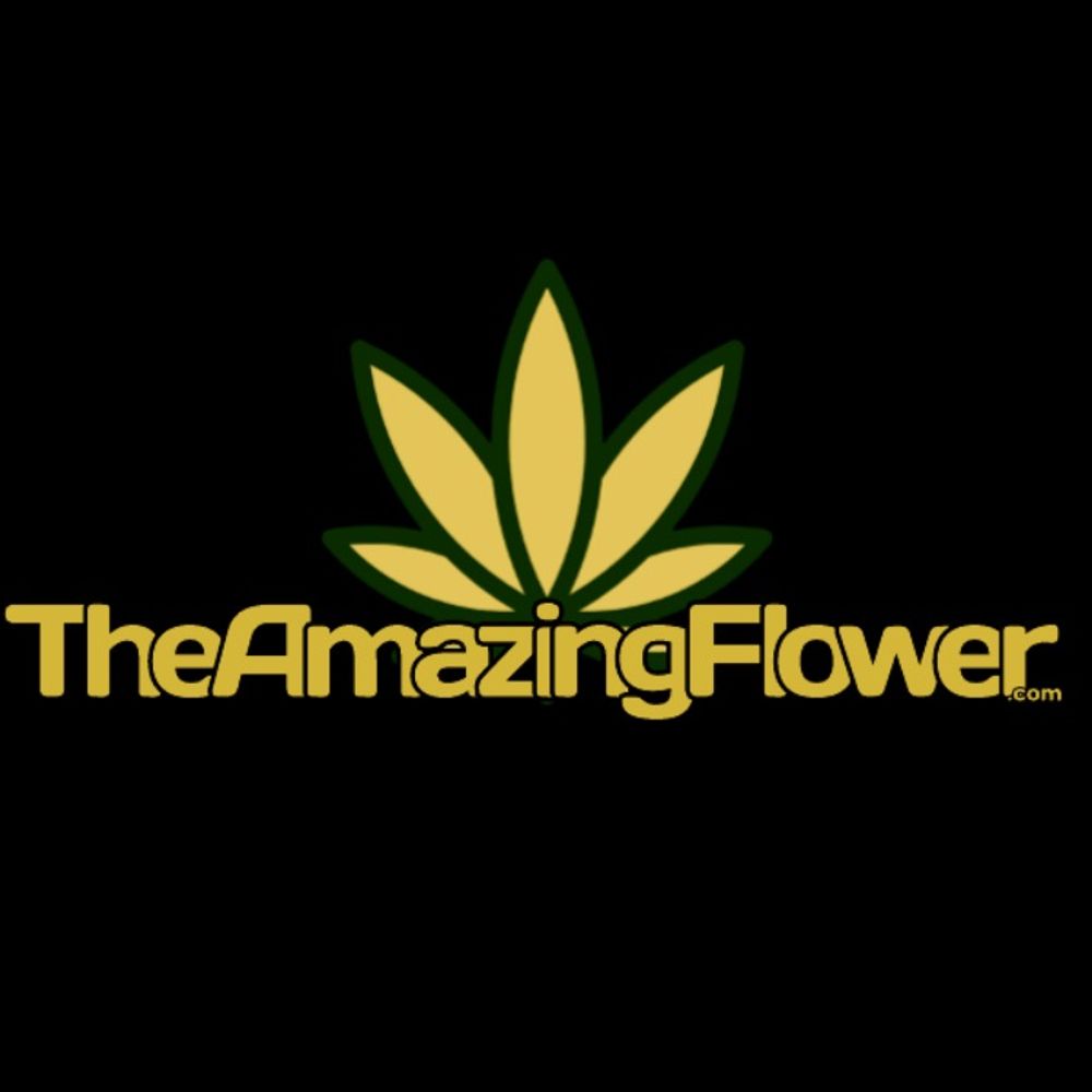 Profile picture theamazingflower.com