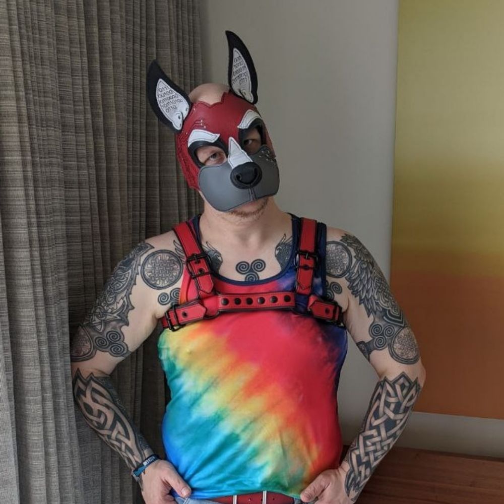 Ashe Valisca the Data Dog