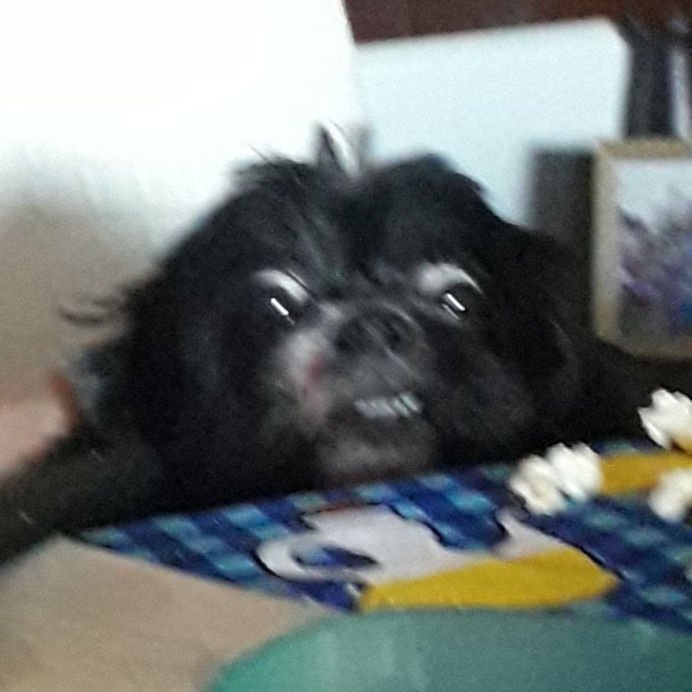 Anto