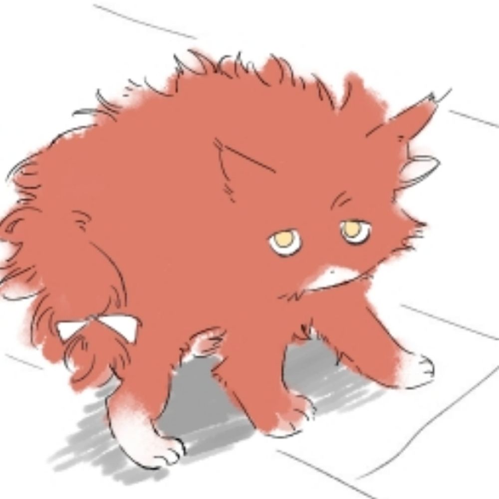모짜