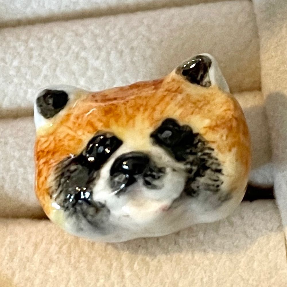 たねがし