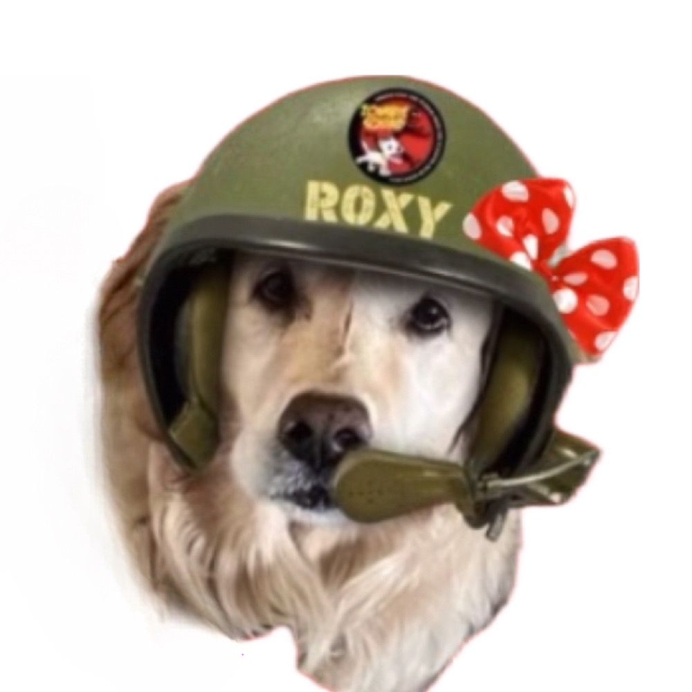Roxy, Mickie, Pattie Cakes & Mom #ZSHQ