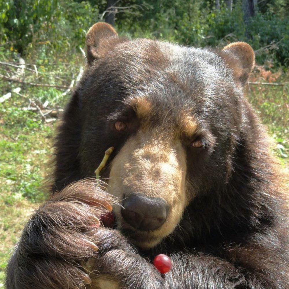 julietsblue.bsky.social