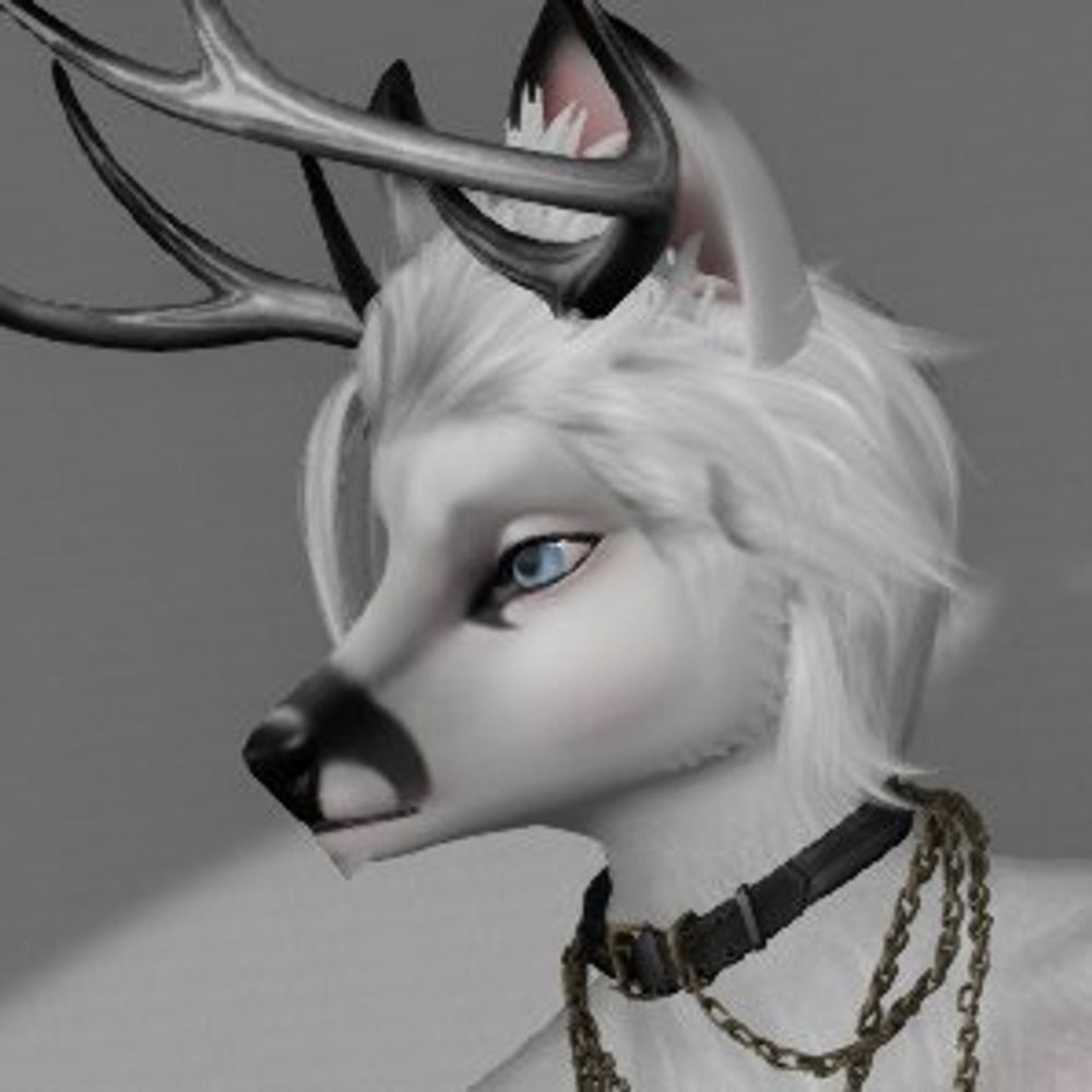 Talyn