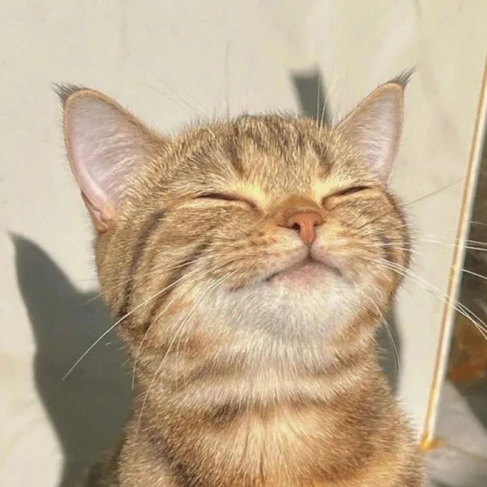 일