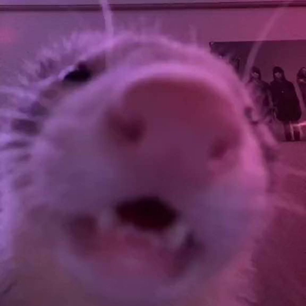 toob