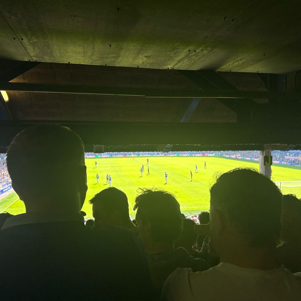 Everton Gecko