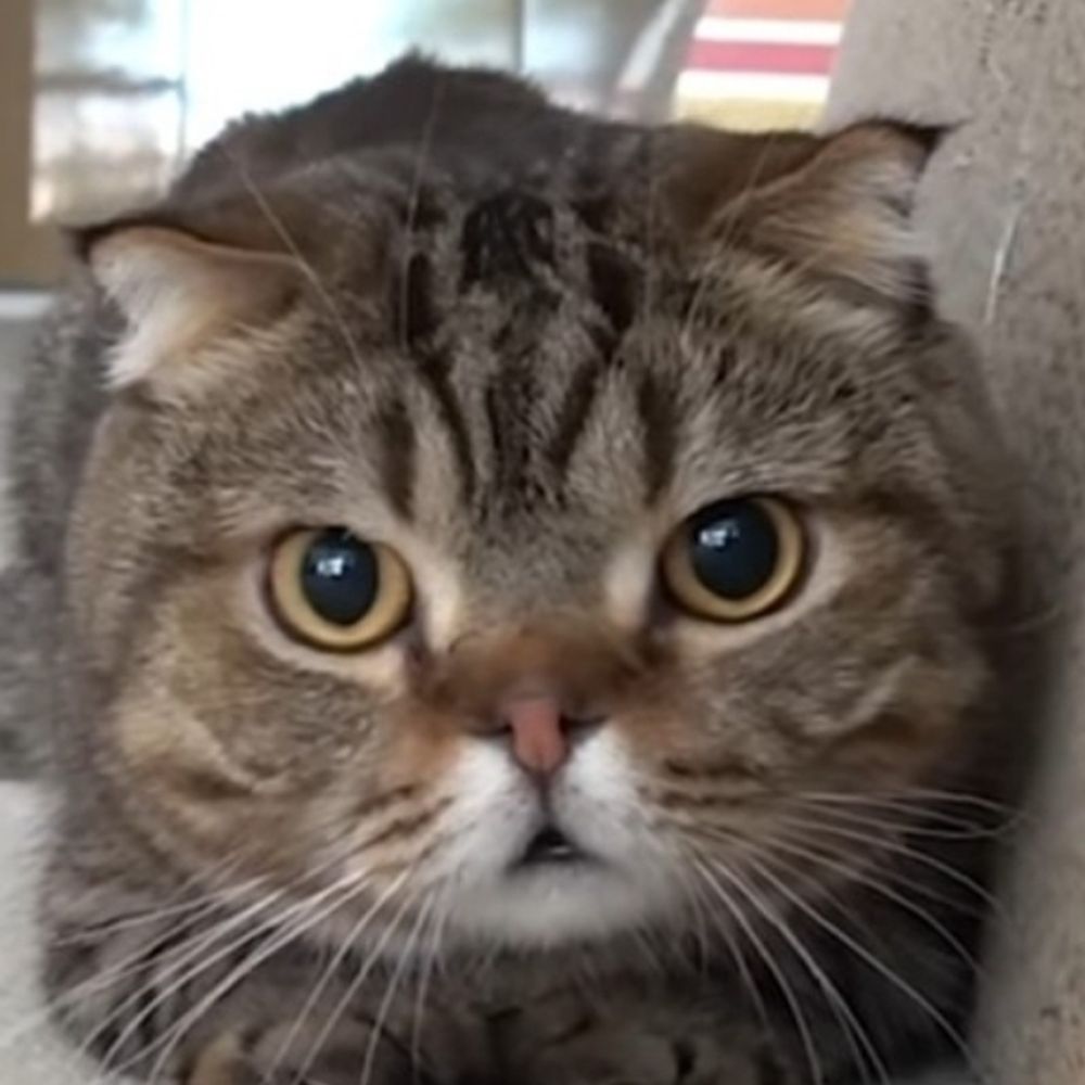 김루랑