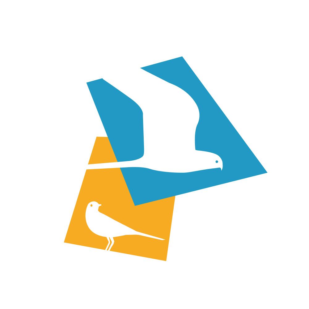 Grauwe Kiekendief - Kenniscentrum Akkervogels