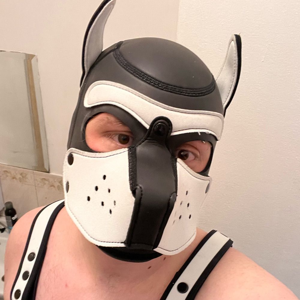 Pup Dax