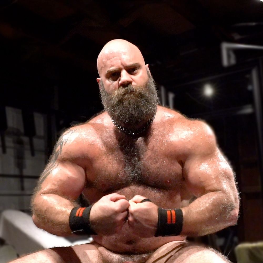 Muscle Bulls