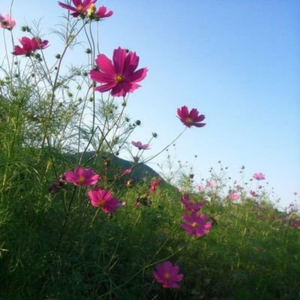 とみとろ＊
