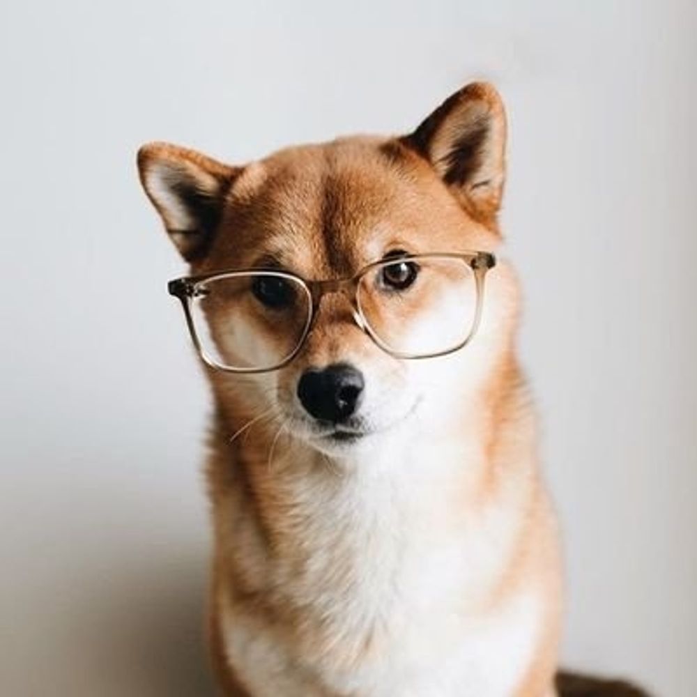 やあ