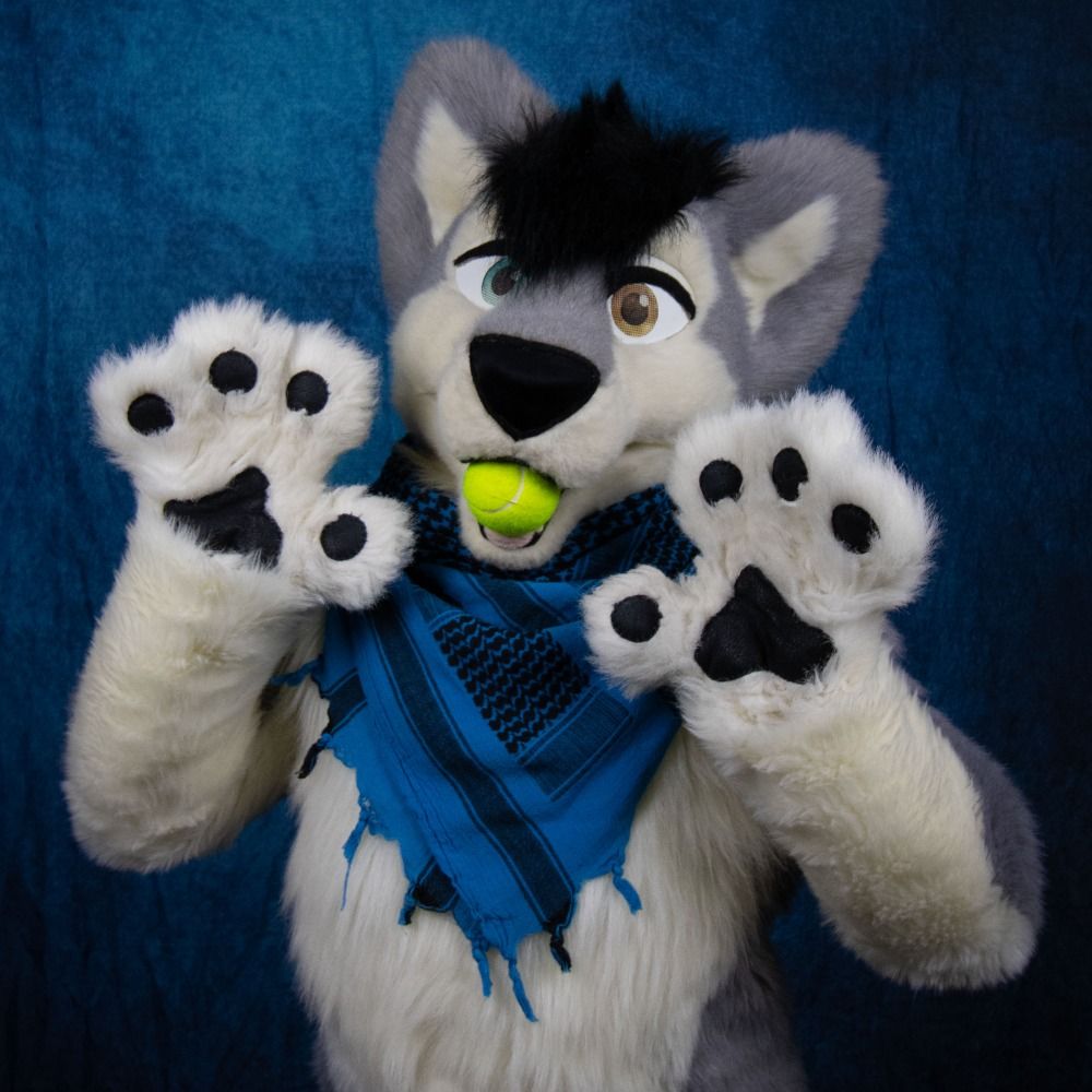Skyy Husky